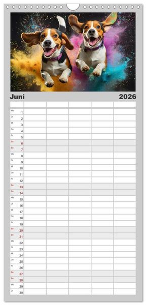Produktbild: Familienplaner 2026 - Holi Pulver - Doppelte Action mit 5 Spalten (Wandkalender, 21 x 45 cm) CALVENDO