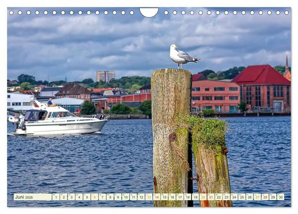 Produktbild: Bezauberndes Flensburg (Wandkalender 2026 DIN A4 quer), CALVENDO Monatskalender
