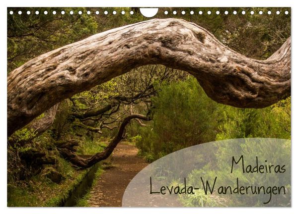 Madeiras Levada-Wanderungen (Wandkalender 2024 DIN A4 quer), CALVENDO Monatskalender