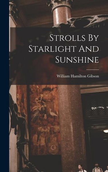 Produktbild: Strolls By Starlight And Sunshine