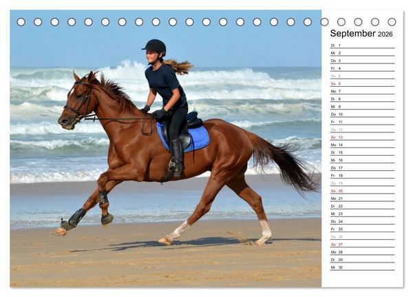 Produktbild: Mein Reitsport Kalender (Tischkalender 2026 DIN A5 quer), CALVENDO Monatskalender