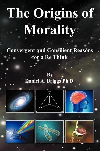 Produktbild: The Origins of Morality