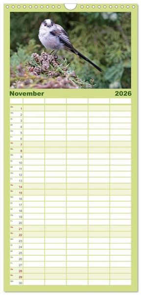 Produktbild: Familienplaner 2026 - Heimische Gartenv&ouml;gel mit 5 Spalten (Wandkalender, 21 x 45 cm) CALVENDO