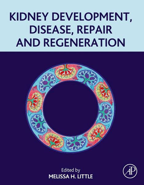 Produktbild: Kidney Development, Disease, Repair and Regeneration