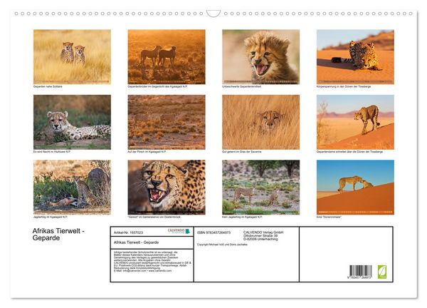 Produktbild: Afrikas Tierwelt - Geparde (Wandkalender 2026 DIN A2 quer), CALVENDO Monatskalender