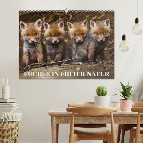 Produktbild: F&uuml;chse in freier Natur (Wandkalender 2026 DIN A2 quer), CALVENDO Monatskalender