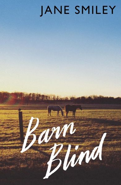 Produktbild: Barn Blind
