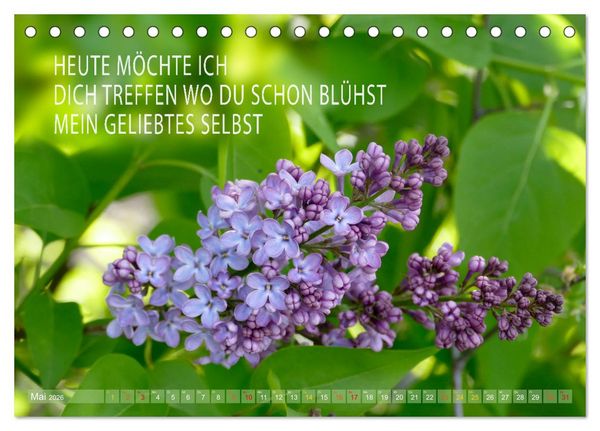 Produktbild: Haiku Poesie in Wort und Bild (Tischkalender 2026 DIN A5 quer), CALVENDO Monatskalender
