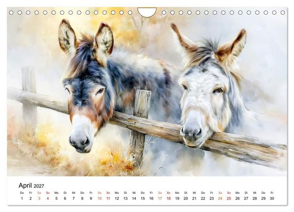 Produktbild: Esel - Wenn Ruhe ein Gesicht h&auml;tte (Wandkalender 2027 DIN A4 quer), CALVENDO Monatskalender