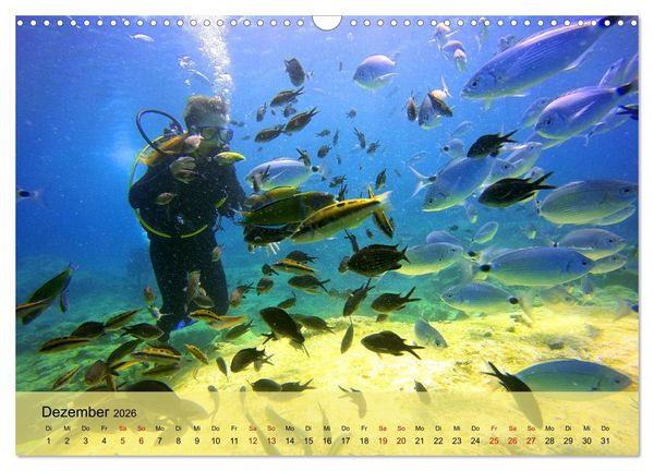 Produktbild: Erlebnis Tauchen - faszinierende Unterwasserwelt (Wandkalender 2026 DIN A3 quer), CALVENDO Monatskalender