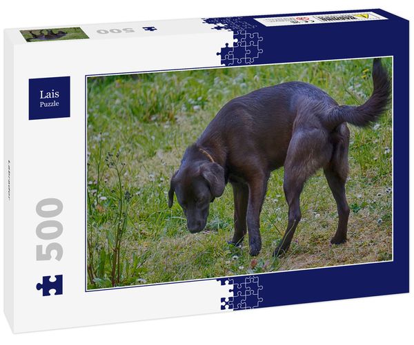 Lais Puzzle Labrador 500 Teile