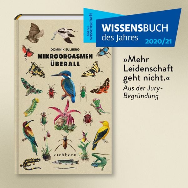 Produktbild: Mikroorgasmen &uuml;berall