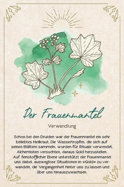 Produktbild: Orakel-Karten-Box: Naturmomente f&uuml;r deine Seele: Nutze die Kraft der gr&uuml;nen Magie