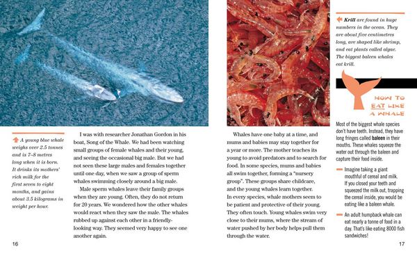 Produktbild: Nat Geo Reader Whales
