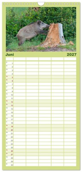 Produktbild: Familienplaner 2027 - Wildschweine &ndash; Wildlife Fotografien mit 5 Spalten (Wandkalender, 21 x 45 cm) CALVENDO
