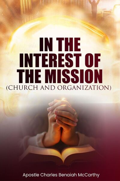 Produktbild: In The Interest Of The Mission