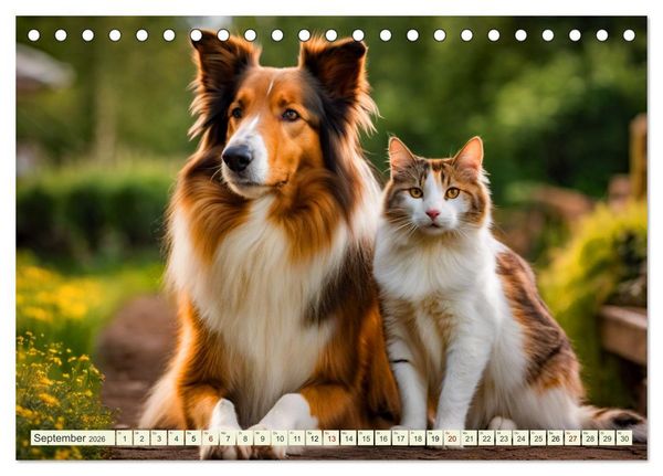 Produktbild: Traumhund Collie (Tischkalender 2026 DIN A5 quer), CALVENDO Monatskalender
