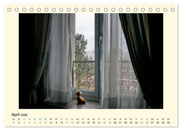 Produktbild: Herr B&auml;r urban explorer (Tischkalender 2026 DIN A5 quer), CALVENDO Monatskalender