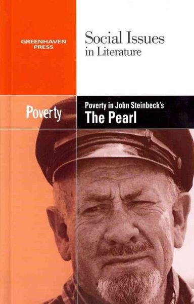 Produktbild: Poverty in John Steinbecks The