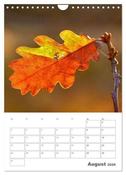 Produktbild: Planen mit dem Symbol der inneren St&auml;rke (Wandkalender 2026 DIN A4 hoch), CALVENDO Monatskalender
