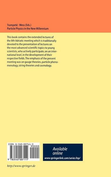 Produktbild: Particle Physics in the New Millennium