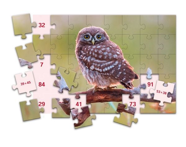 Produktbild: SCHUBI MathPuzzles