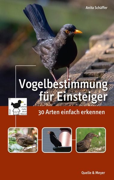 Vogelbestimmung für Einsteiger, Taschenbuch von Anita Schäffer, Quelle & Meyer, 978-3-494-01813-3