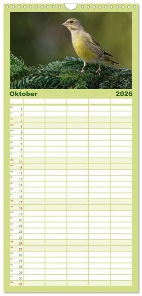 Produktbild: Familienplaner 2026 - Heimische Gartenv&ouml;gel mit 5 Spalten (Wandkalender, 21 x 45 cm) CALVENDO