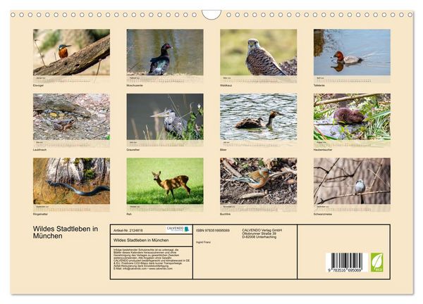 Produktbild: Wildes Stadtleben in M&uuml;nchen (Wandkalender 2026 DIN A3 quer), CALVENDO Monatskalender