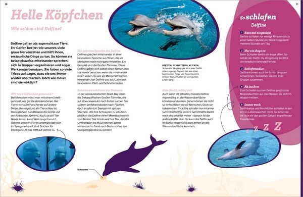 Produktbild: WAS IST WAS Delfine. Immer im Team