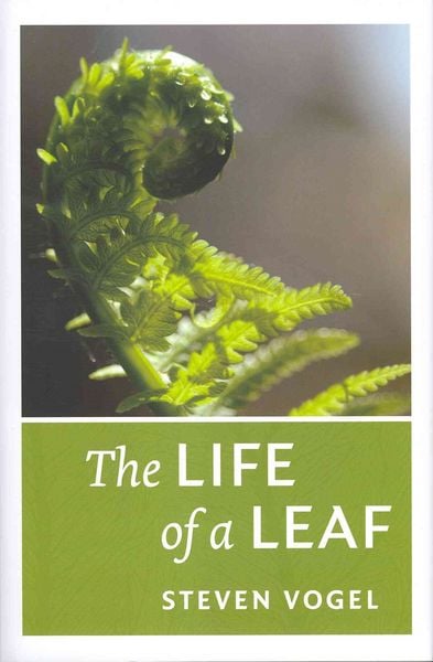 Produktbild: Life Of a Leaf