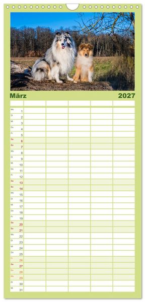 Produktbild: Familienplaner 2027 - Traumhund Collie - Mein bester Freund mit 5 Spalten (Wandkalender, 21 x 45 cm) CALVENDO