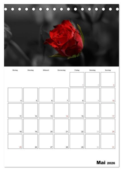 Produktbild: schwarz/wei&szlig; trifft farbe - DEIN TERMINKALENDER / Planer (Tischkalender 2026 DIN A5 hoch), CALVENDO Monatskalender
