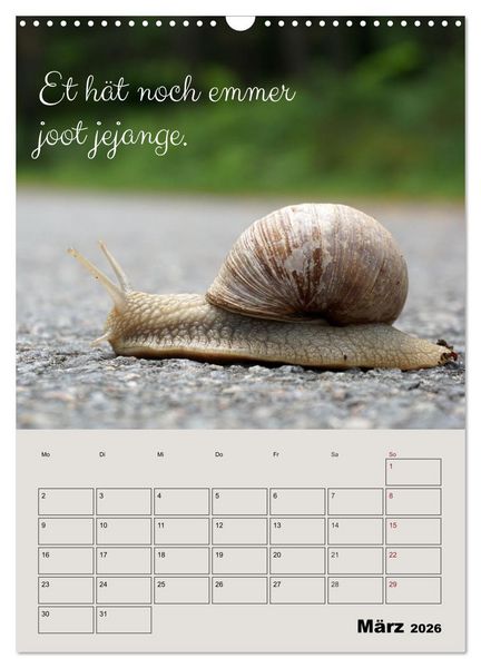 Produktbild: K&ouml;lsches Grundgesetz (Wandkalender 2026 DIN A3 hoch), CALVENDO Monatskalender