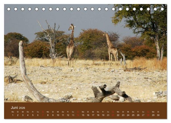 Produktbild: Namibia - faszinierende Menschen und Tiere (Tischkalender 2026 DIN A5 quer), CALVENDO Monatskalender