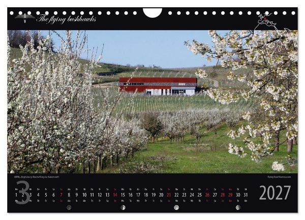 Produktbild: Wein & Architektur 2027 (Wandkalender 2027 DIN A4 quer), CALVENDO Monatskalender