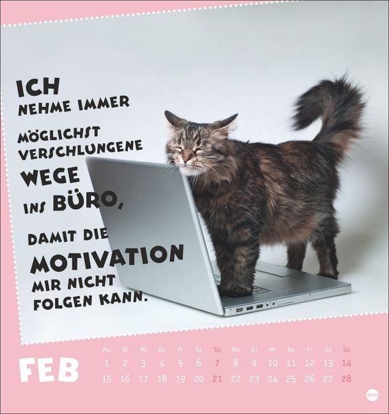 Produktbild: Mach mal Pause Postkartenkalender 2027 - F&uuml;r das Arbeitstier in dir