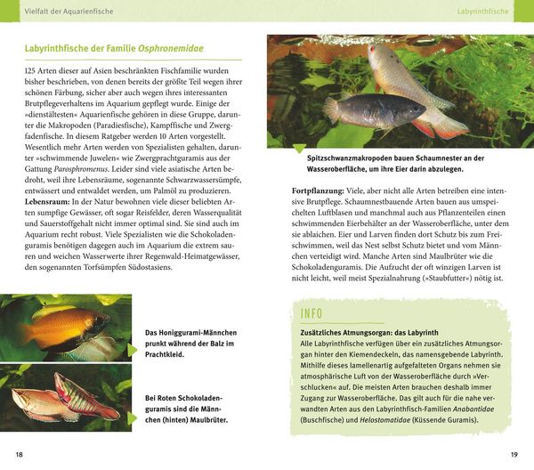 Produktbild: Aquarienfische von A bis Z