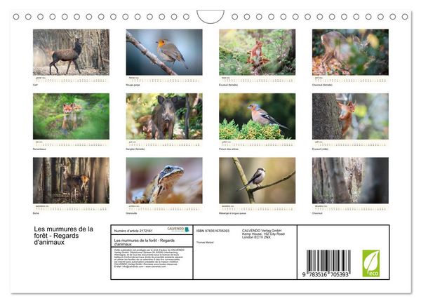 Produktbild: Les murmures de la for&ecirc;t - Regards d'animaux (Calendrier mural 2026 DIN A4 vertical), CALVENDO calendrier mensuel