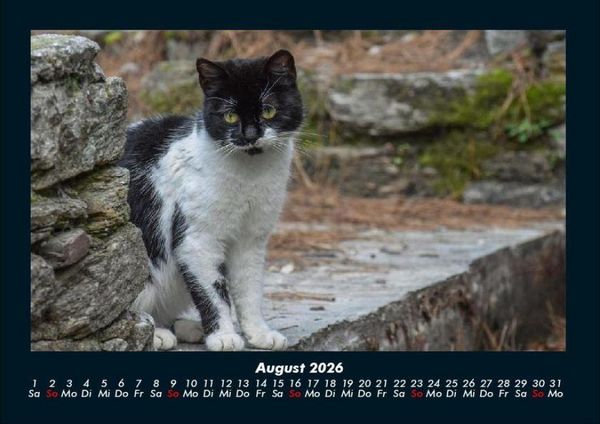 Produktbild: Tiere auf dem Bauernhof 2026 Fotokalender DIN A4