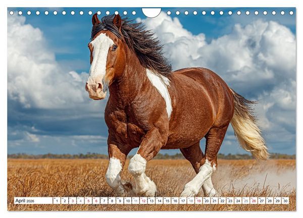 Produktbild: Pferde in freier Natur (Wandkalender 2026 DIN A4 quer), CALVENDO Monatskalender