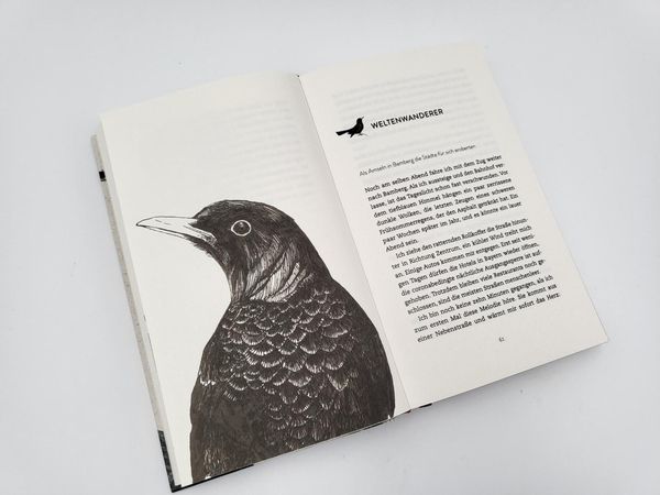 Produktbild: Wanderer zwischen den Welten