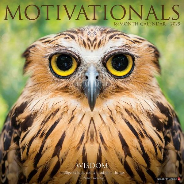 Produktbild: Motivationals 2026 Wall Calendar