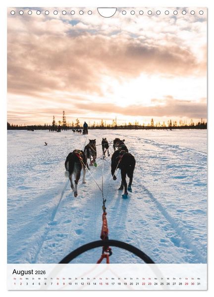 Produktbild: Finnland - Winter Wunderland (Wandkalender 2026 DIN A4 hoch), CALVENDO Monatskalender
