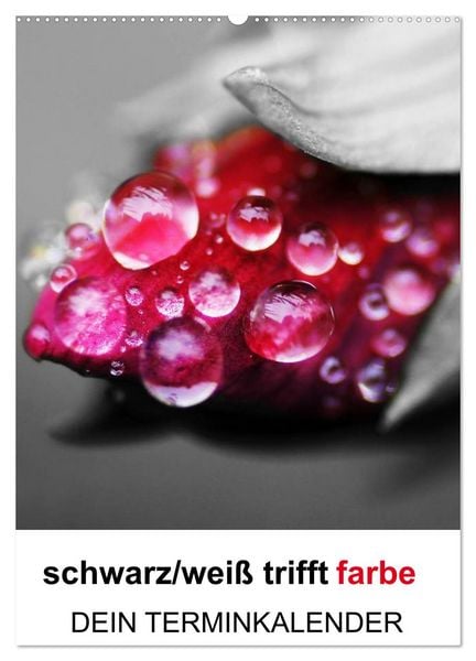 schwarz/weiß trifft farbe - DEIN TERMINKALENDER / Planer (Wandkalender 2026 DIN A2 hoch), CALVENDO Monatskalender