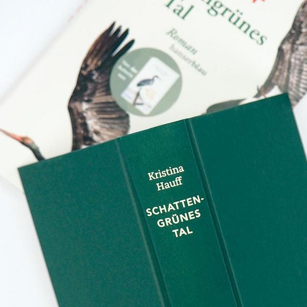 Produktbild: Schattengr&uuml;nes Tal