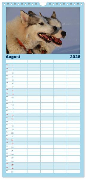 Produktbild: Familienplaner 2026 - Huskies! mit 5 Spalten (Wandkalender, 21 x 45 cm) CALVENDO