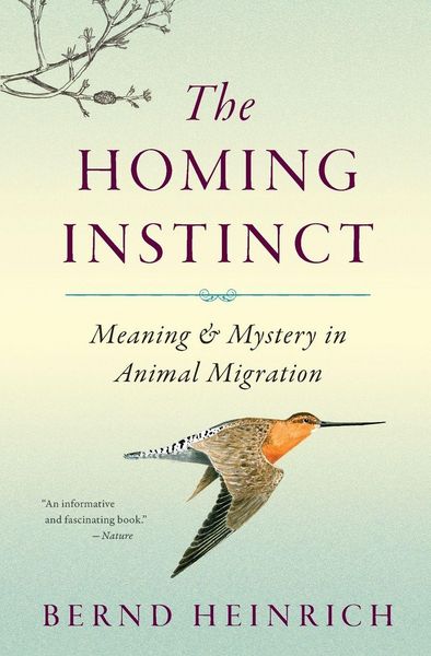 Produktbild: The Homing Instinct
