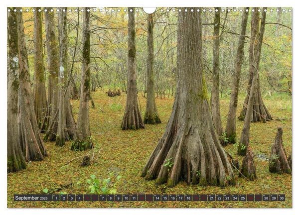 Produktbild: Natur Paradies Mississippi Delta (Wandkalender 2026 DIN A3 quer), CALVENDO Monatskalender