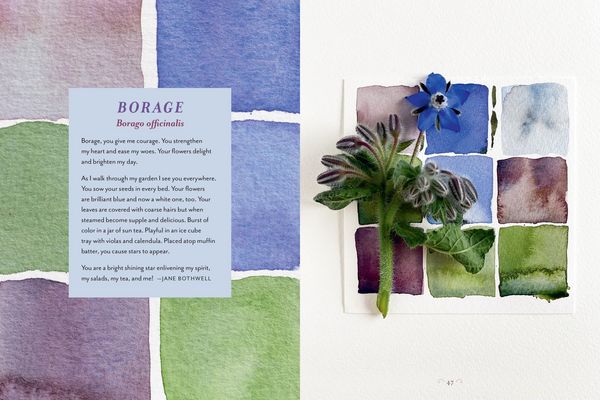 Produktbild: The Generosity of Plants
